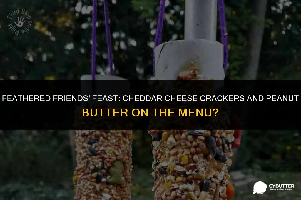 can birds eat cheddar cheese crackers and peanut butter