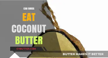 Feathered Friends and Coconut Delights: A Nutritious Treat?