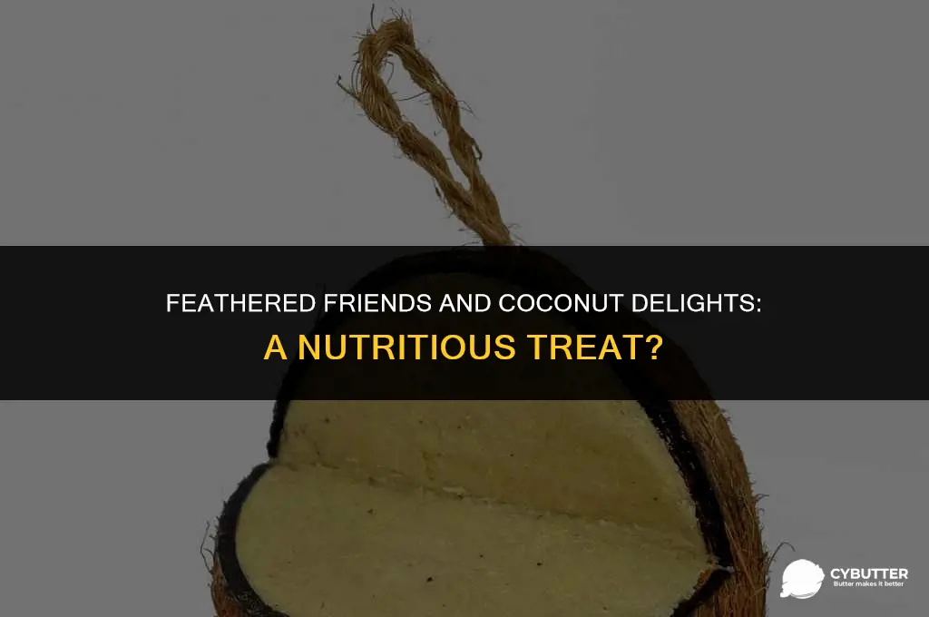 can birds eat coconut butter