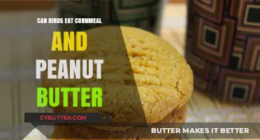 Feeding Birds: The Surprising Truth About Cornmeal and Peanut Butter