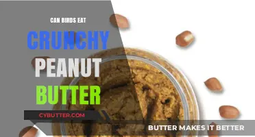 Crunchy Peanut Butter: A Nutritious Treat for Feathered Friends?