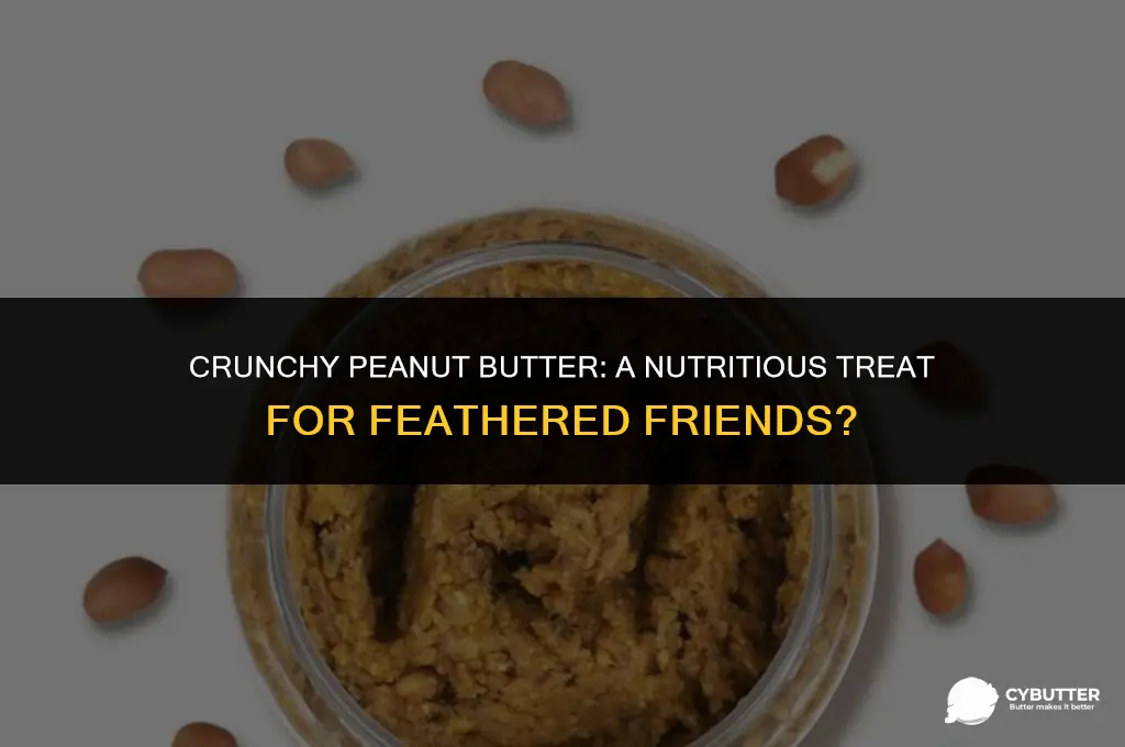 can birds eat crunchy peanut butter