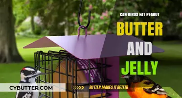 Feathered Friends' Delight: Peanut Butter and Jelly for Birds?