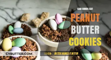 Feathered Friends and Peanut Butter Cookies: A Safe Snack?