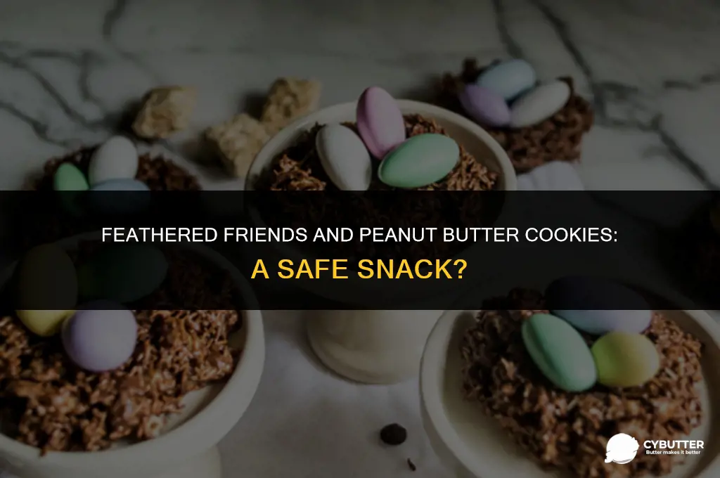 can birds eat peanut butter cookies