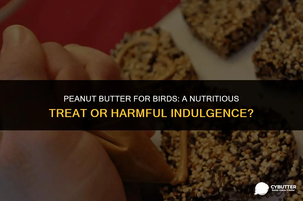 can birds eat peanut butter uk
