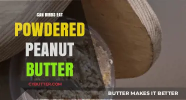 Feathered Friends and Peanut Butter: A Nutritious Match?