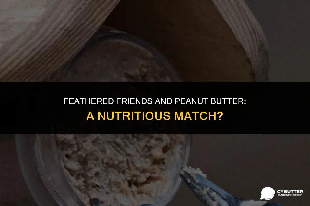 can birds eat powdered peanut butter