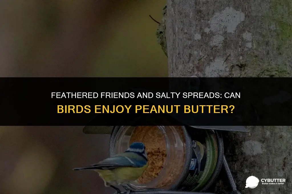 can birds eat salted peanut butter