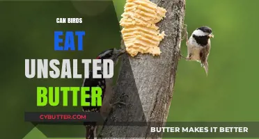 Feathered Friends and Dairy Delights: Can Birds Indulge in Unsalted Butter?