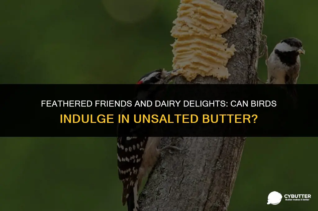 can birds eat unsalted butter