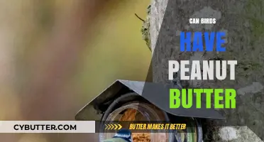 Can Birds Have Peanut Butter? A Nutty Guide for Feathered Friends
