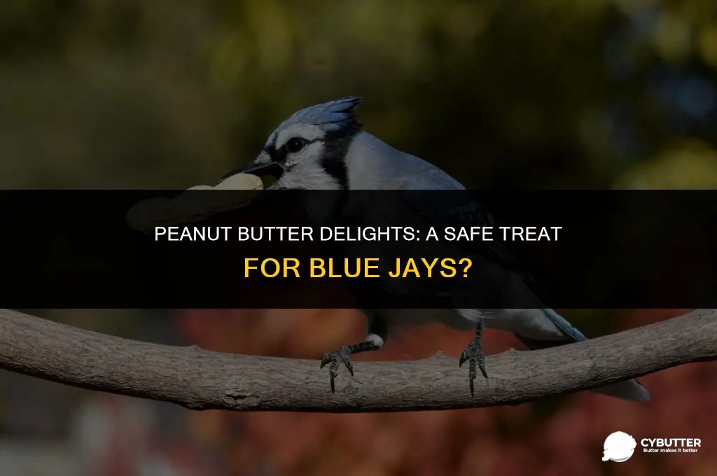 can blue jays eat peanut butter