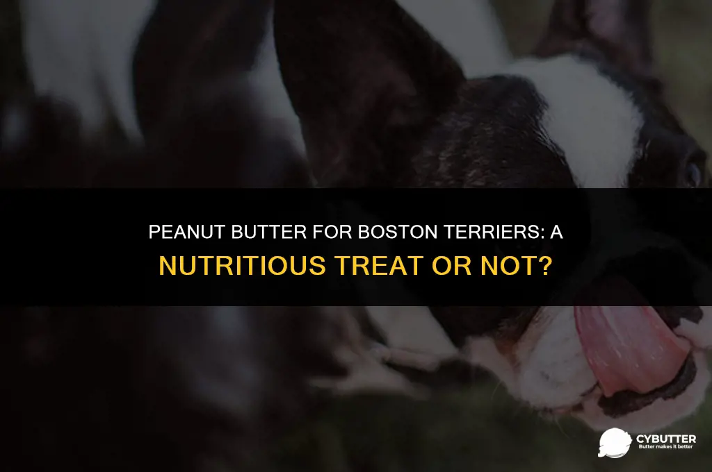 can boston terriers eat peanut butter