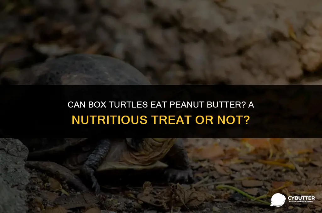 can box turtles eat peanut butter