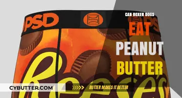 Peanut Butter for Boxers: A Nutritious Treat or a No-No?