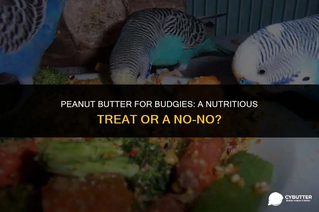 can budgie birds eat peanut butter