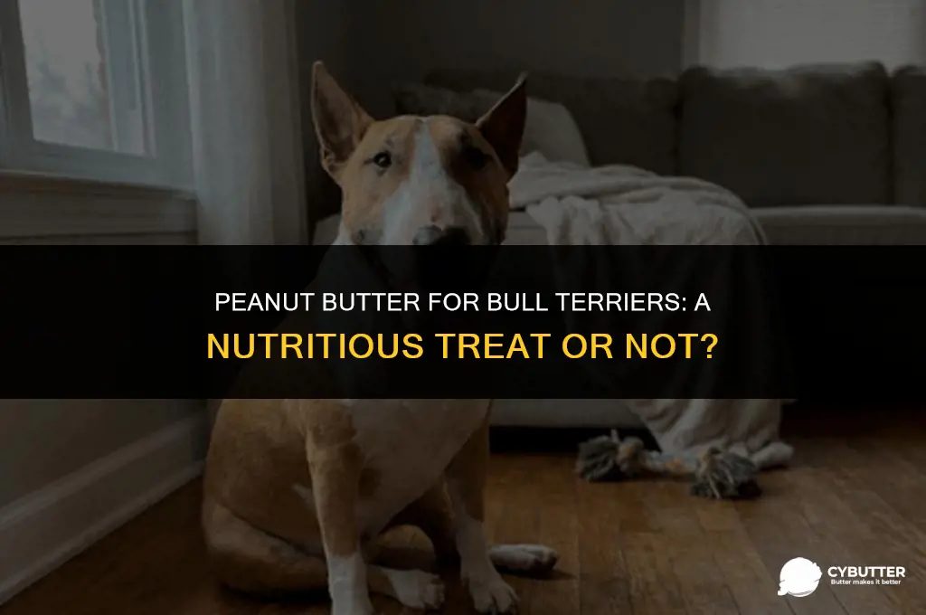 can bull terriers eat peanut butter