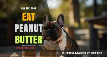 Peanut Butter for Bulldogs: A Nutritious Treat or a No-No?