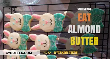 Almond Butter for Bunnies: A Nutritious Treat or Not?