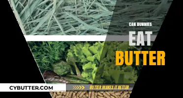 Can Bunnies Indulge in Butter? A Comprehensive Guide to Rabbit Diets