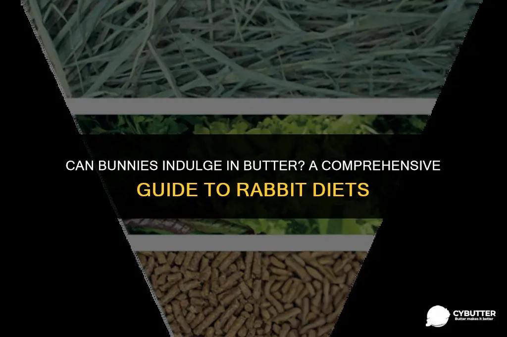 can bunnies eat butter