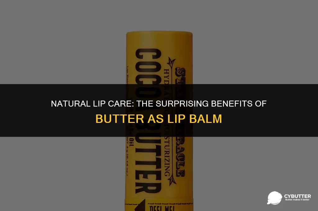 can butter be used as lip balm