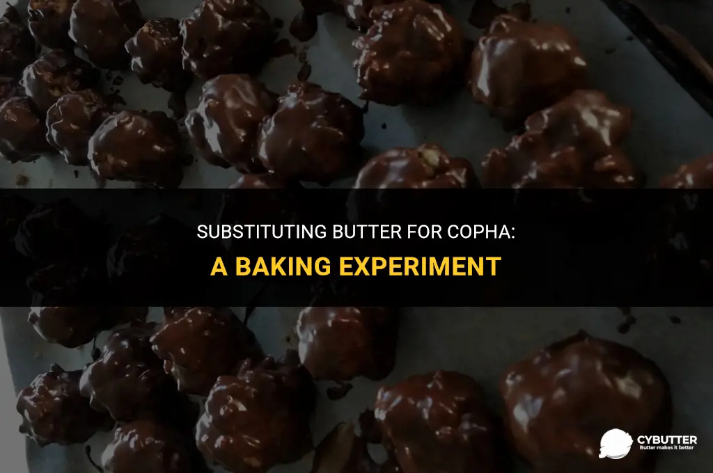 can butter be used instead of copha