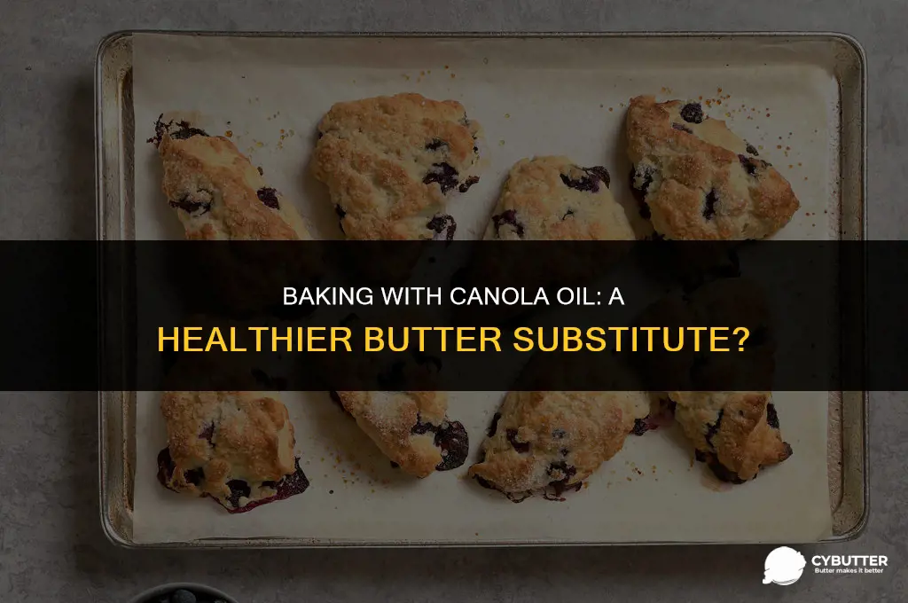 can canola oil be used to replace butter for baking