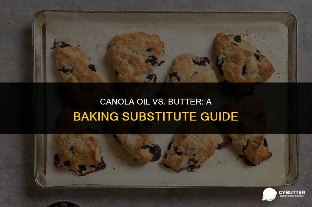 can canola oil be used to replace butter for bakng