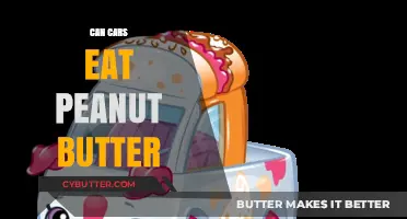 Can Cars Eat Peanut Butter? Exploring the Myth and Facts