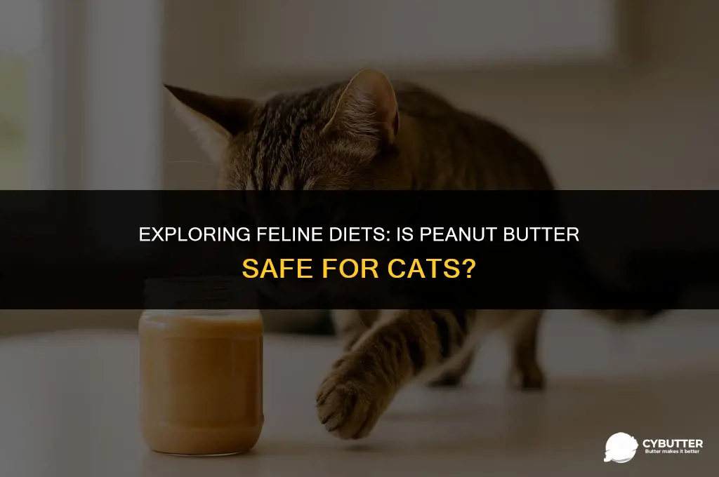 can cata eat peanut butter