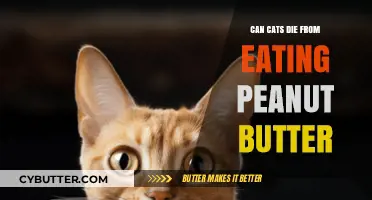 The Hidden Danger: Peanut Butter's Toxicity to Cats Explained