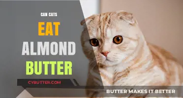 Feline Nutrition: Is Almond Butter Safe for Cats?