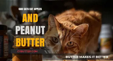 Feline Diet Dilemmas: Apples and Peanut Butter for Cats?