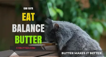 Feline Diet Dilemma: Is Balance Butter Safe for Cats?