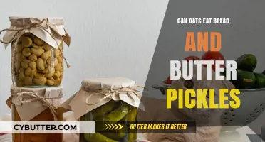 Feline Foodie: Can Cats Munch on Bread and Butter Pickles?