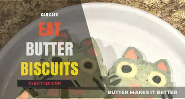 Feline Nutrition: The Truth About Cats and Butter Biscuits
