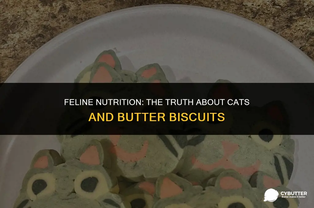 can cats eat butter biscuits