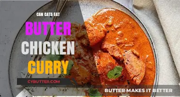 Feline Feast or Faux Pas: Can Cats Indulge in Butter Chicken Curry?