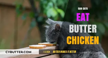 Feline Feast or Faux Pas? The Truth About Cats and Butter Chicken