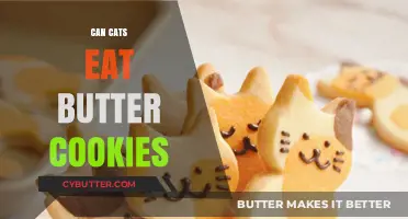 Feline Treats: Are Butter Cookies Safe for Cats?