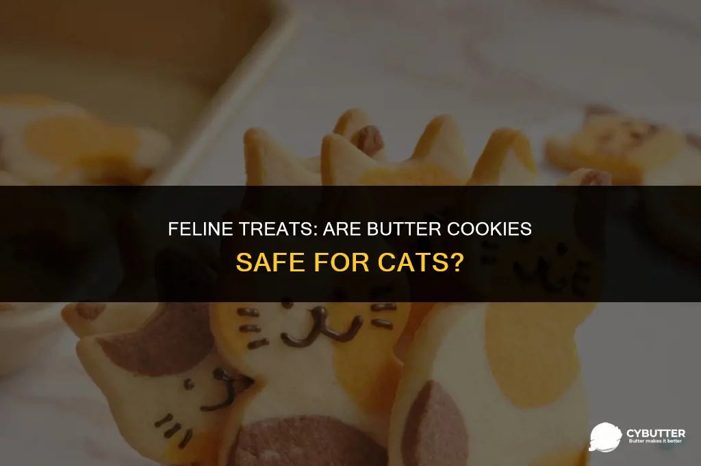 can cats eat butter cookies