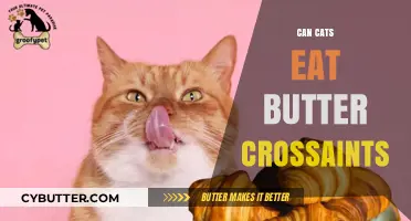 Feline Feast or Faux Pas: Can Cats Indulge in Butter Croissants?