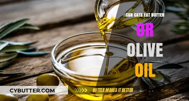 Feline Diet Dilemmas: Butter and Olive Oil Edition