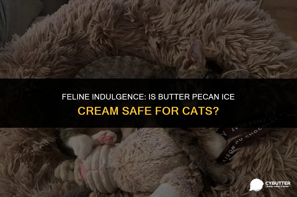 can cats eat butter pecan ice cream