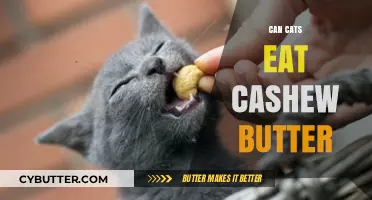 Feline Nutrition: The Scoop on Cashew Butter for Cats