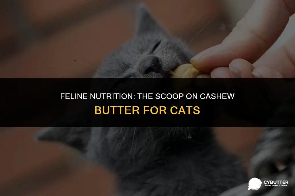 can cats eat cashew butter