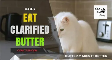 Feline Diet Dilemma: Is Clarified Butter Safe for Cats?