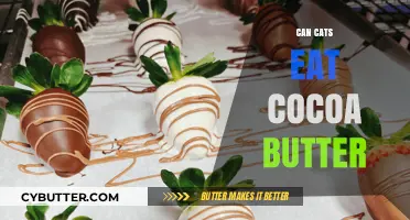 Feline Indulgence: Is Cocoa Butter Safe for Cats?